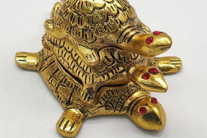 Tortoise in home, tortoise best direction according vastu shastra, Placement of a Tortoise in Your Home as per Vastu