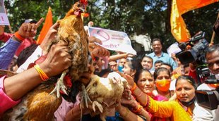 udhav thakre narayan rane hen bjp office