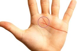 vishnu rekha, palmistry, palm reading, hasth rekha, hand line prediction, lucky line in hand,