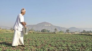Pm kisan,Agriculture Minister, Narendra Singh Tomar