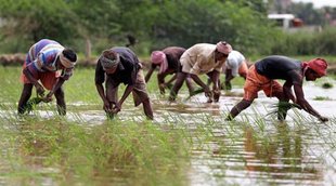PM Kisan Samman Nidhi