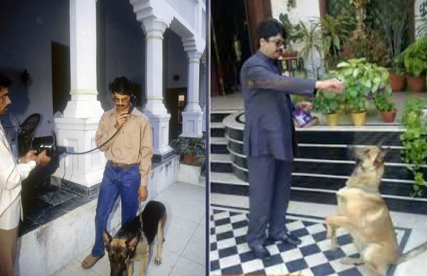 राजा भैया का हंटर डॉग पूरी तरह से ट्रेंड है और वह ज्यादातर राजा भैया के बेंती में रहने पर साथ ही रहता है। इसे भी पढ़ें- राजा भैया के पिता ने की थी इंदिरा गांधी से बगावत, सेना बुलाकर करना पड़ा था भदरी रिसायत को कंट्रोल