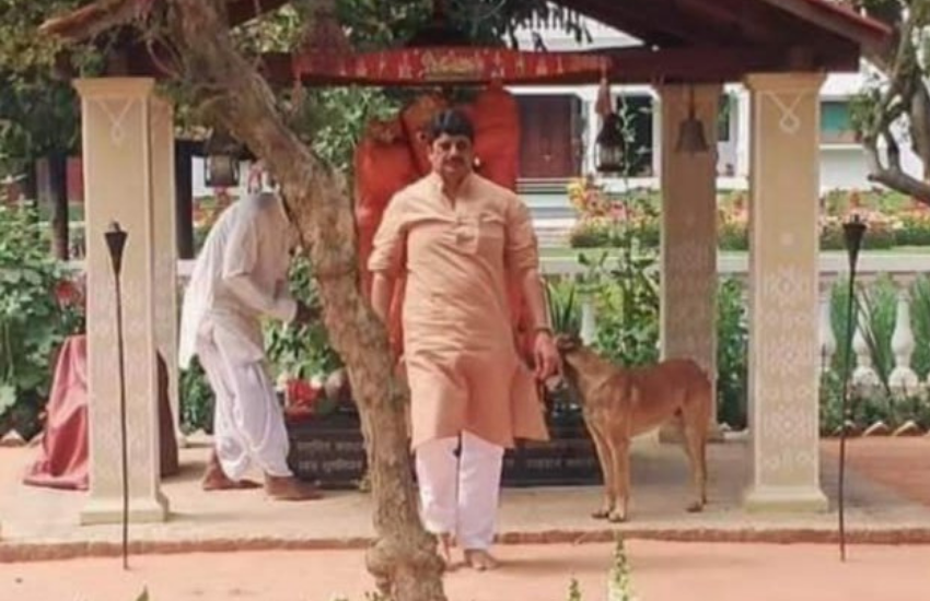 बता दें कि राजा भैया ने अब खुद की पार्टी जनसत्ता दल लोकतांत्रिक भी बना चुके हैं।