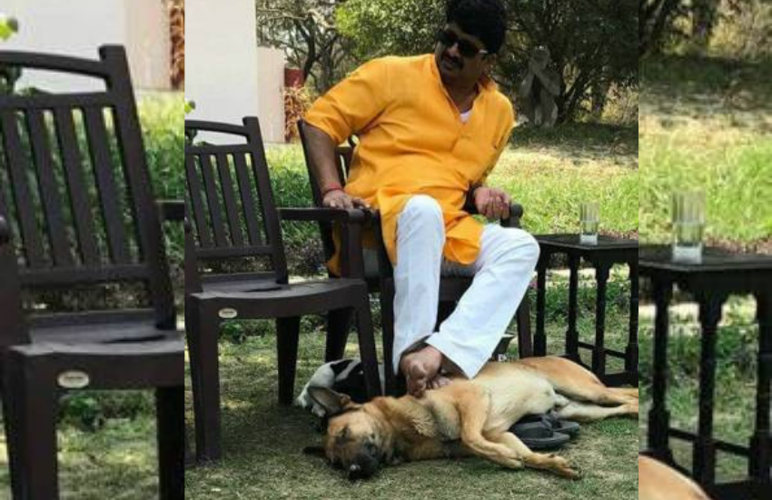 राजा भैया ने एक इंटरव्यू में खुद मायावती के एमपी में उनका केस ट्रायल रखने जाने पर कहा था कि बसपा सुप्रीमो ने डर से यूपी में केस ट्रायल नहीं कराया था। इसे भी पढ़ें- राजा भैया की वादा खिलाफी पर मायावती ने जब अखिलेश यादव की चुटकी लेते हुए कहा था- कुंडा का गुंडा मेरी सरकार में लाइन पर आ गया था
