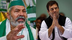 राहुल गांधी ठीक आदमी हैं – बोले राकेश टिकैत, कहा – कांग्रेस सांसद को कमजोर करने के लिए बीजेपी ने लगा दी पूरी ताकत