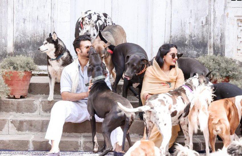 देश में कई राजघराने ऐसे हैं जो अपने शाही ठाठ-बाट के लिए आज भी चर्चा हैं। इन राजघरानों के लोग ऐसी भव्य जिंदगी जीते हैं जिसे एक आम इंसान सिर्फ सोच ही सकता है। कुछ राजघराने के सदस्यों ने अपने महल या कोठी में कुत्ते भी पाल रखे हैं। इनमें ग्वालियर राजघराने के ज्योतिरादित्य सिंधिया ( Jyotiraditya Scindia ) से भदरी रियासत के राजा भैया (Raja Bhaiya) जैसे नाम भी शामिल हैं। राजपरिवारों के ये कुत्ते भी मामूली जिंदगी नहीं जीते। देखें तस्वीरे: