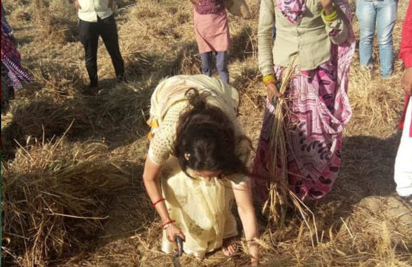 हेमा का कहना था कि धान काटना या खेतों में जा कर फसल या सब्जी के बारे में जानना भी उनके लिए नया नहीं था। इसे भी पढ़ें- धर्मेन्द्र से शादी कर लौटी हेमा मालिनी से नाराज मनोज कुमार ने पूरे दिन सेट पर रखा था बिठाए