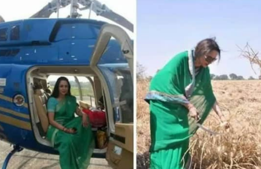 पिछले लोकसभा चुनाव के दौरान हेमा मालिनी के धान काटने और ट्रैक्टर चलाने वाली तस्वीरों पर खूब कमेंट्स चले थे। इसे भी पढ़ें-जब राज कपूर ने धर्मेंद्र की पत्नी हेमा मालिनी पर लगा दिया था दांव, कहा था- नाम में डायरेक्टर लगाना छोड़ दूंगा
