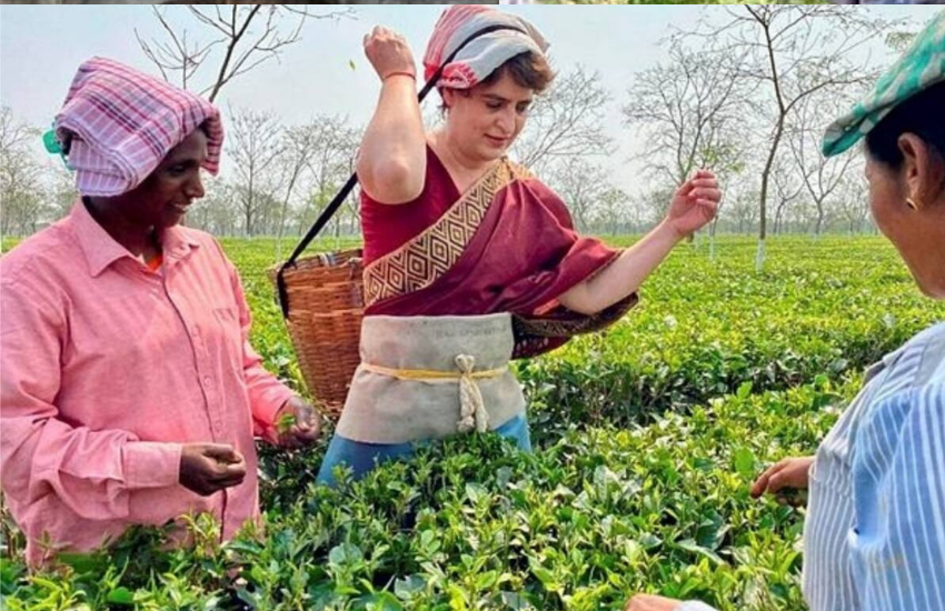 प्रियंका ने आसाम के बगानों में चाय की पत्तियों को तोड़ने गुर भी सीखा और बगान की महिआलों कि वेश-भूषा भी पहन ली थी।