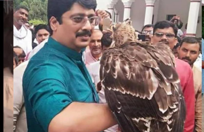 राजा भैया की रियासत में कई नस्लों के कुत्ते अैर पशु पक्षी भी हैं, लेकिन खास बात यह है कि वह उनके बीच खुद को बहुत खुश महसूस करते हैं।