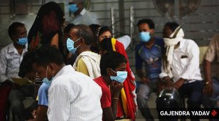 Dengue and viral fever