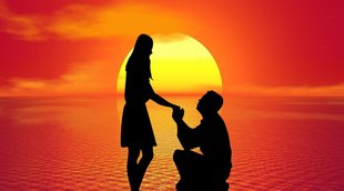 best husband, best husband according to zodiac, love astrology, zodiac sign astrology, best husband rashi,