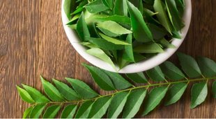 Blood Pressure, Curry Leaves, Risk Of High Blood Pressure