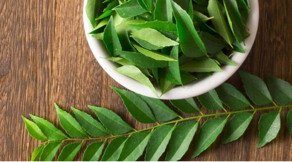 Blood Pressure, Curry Leaves, Risk Of High Blood Pressure