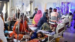 एमपी में भी वायरल बुखार ने मचाया कहर, राजगढ़ जिले में 7 दिन में भर्ती हुए 422 बच्चे