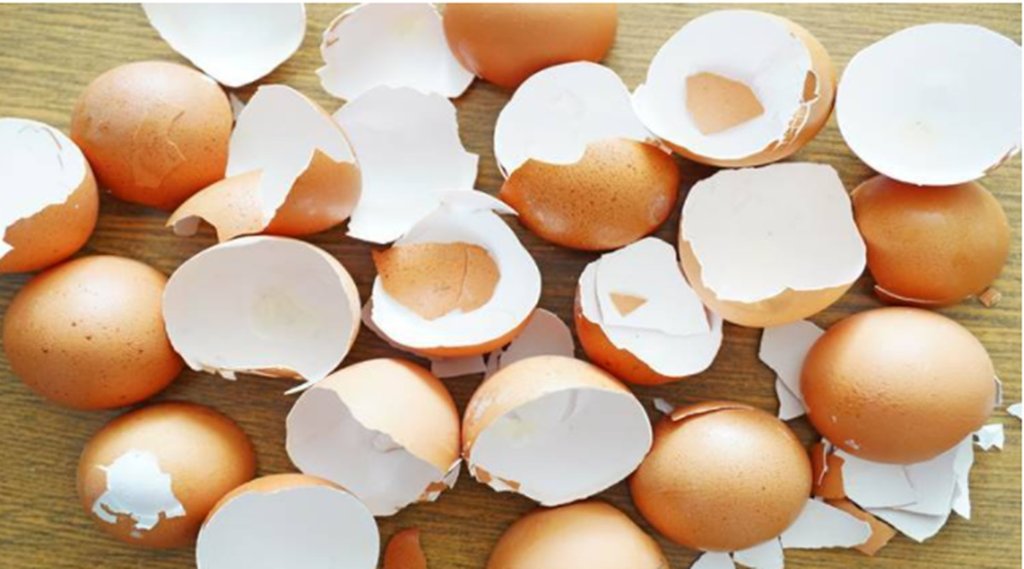 Beauty Tips, Lifestyle News, Egg Shells