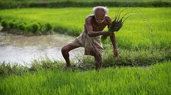 PM KISAN: कहीं इस वजह से तो नहीं अटक गई आपकी किश्त? जानें- कैसे कर सकते हैं दुरुस्त