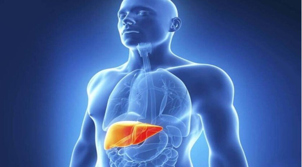 Fatty Liver problem can be overcome by eating these 4 things, know from expert