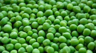 Lifestyle, Adulteration of Peas, lifestyle news