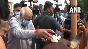 Gujarat, CM Bhupendra Patel, Cow worship, Oath taking ceremony