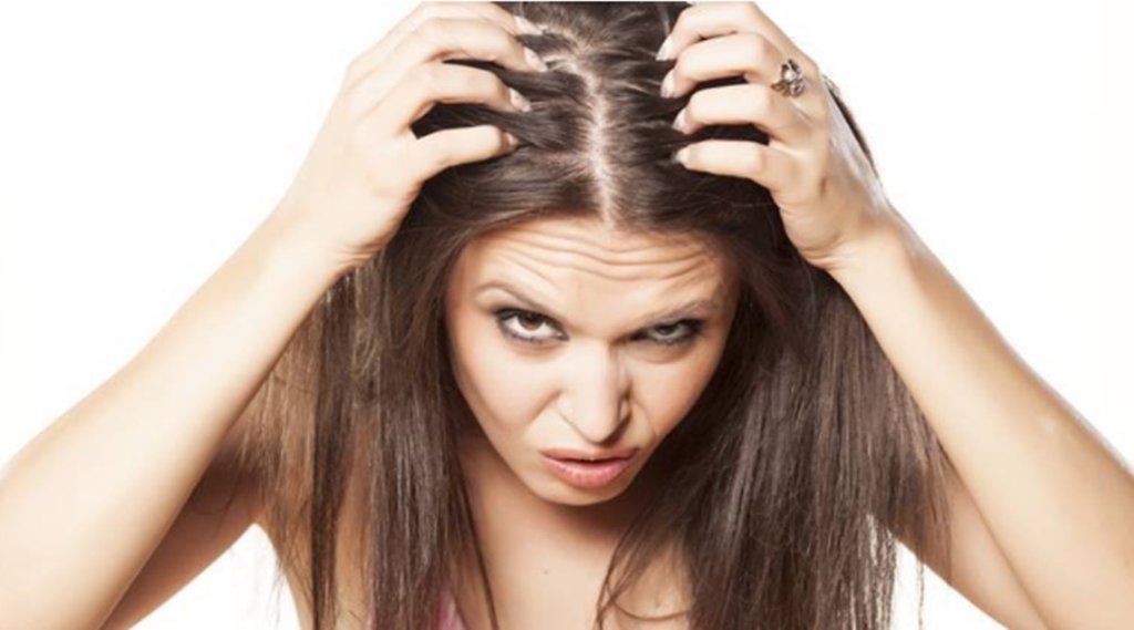 Lifestyle News, Hair Fall, Hair Loss