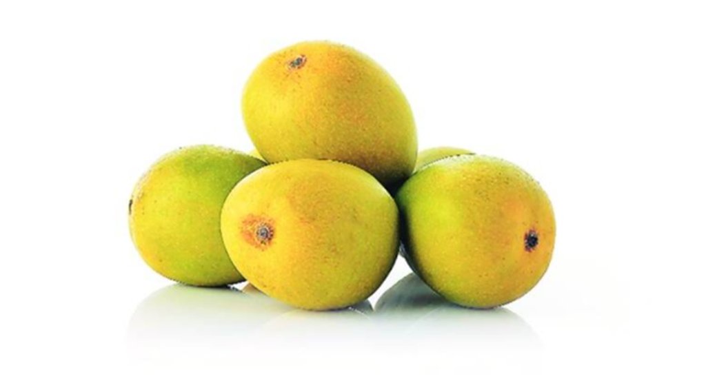 Health News, Mango In Uric Acid, Uric Acid