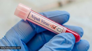 nipah virus, kerala