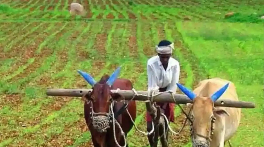 PM Kisan की किस्त पाने के लिए 30 सितंबर है आखिरी तारीख! नहीं किया रजिस्टर, तो इस तरह झटपट कर लें पूरा (File Photo)