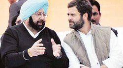 राहुल गांधी सिर्फ कॉमेडियन के साथ काम कर सकते हैं- कैप्टन अमरिंदर के इस्तीफे पर बोले बॉलीवुड फिल्ममेकर