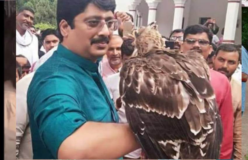 राजा भैया के मुताबिक ये पूरी कहानी उनके लिए शर्मिंदगी का विषय बन गई है। उनका मानना है कि ये सारा फितूर उन्हें किसी फिल्मी डॉन की तरह प्रोजेक्ट करने के लिए पैदा किया गया है। खुद से जुड़ी कई तरह की अफवाहों पर वह कहते हैं कि प्रतापगढ़ के आंवले के साथ ही यहां की अफवाहें भी बहुत फेमस हैं। (यह भी पढ़ें: जब राजा भैया पर भड़क गए थे अखिलेश यादव, याद दिलाया था क्षत्रिय धर्म)