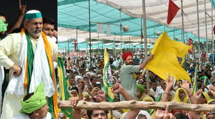 rakesh tikait, skm, national news