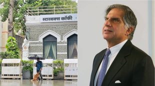 ratan tata stray dog umbrella