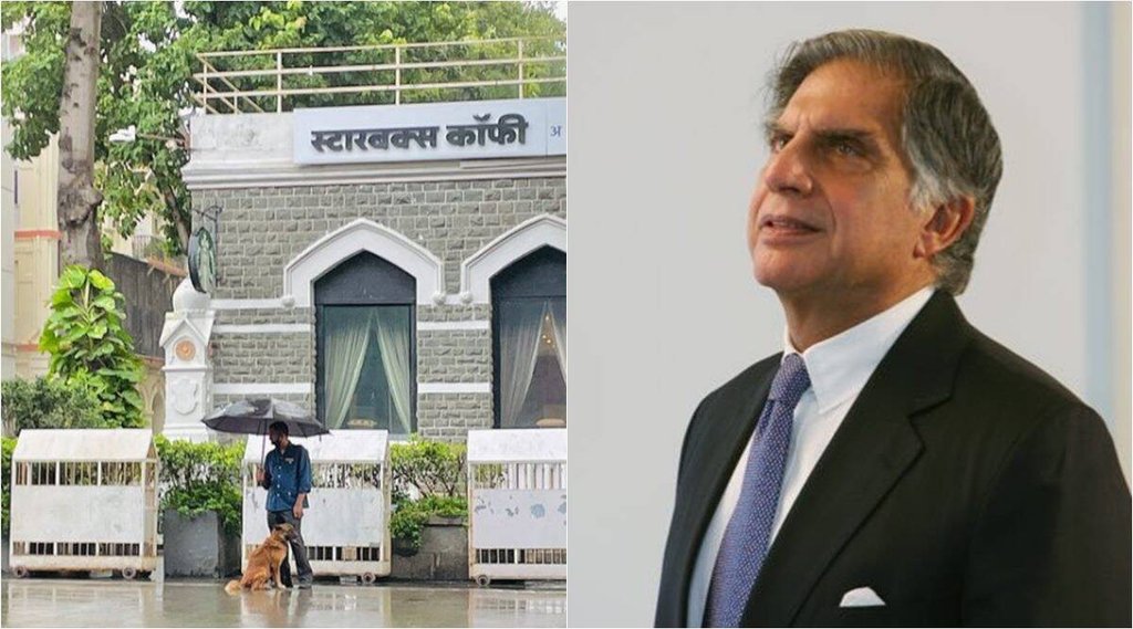 ratan tata stray dog umbrella