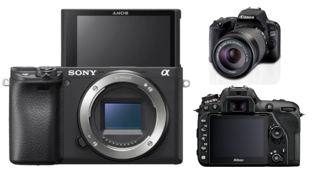 canon, nikon, sony