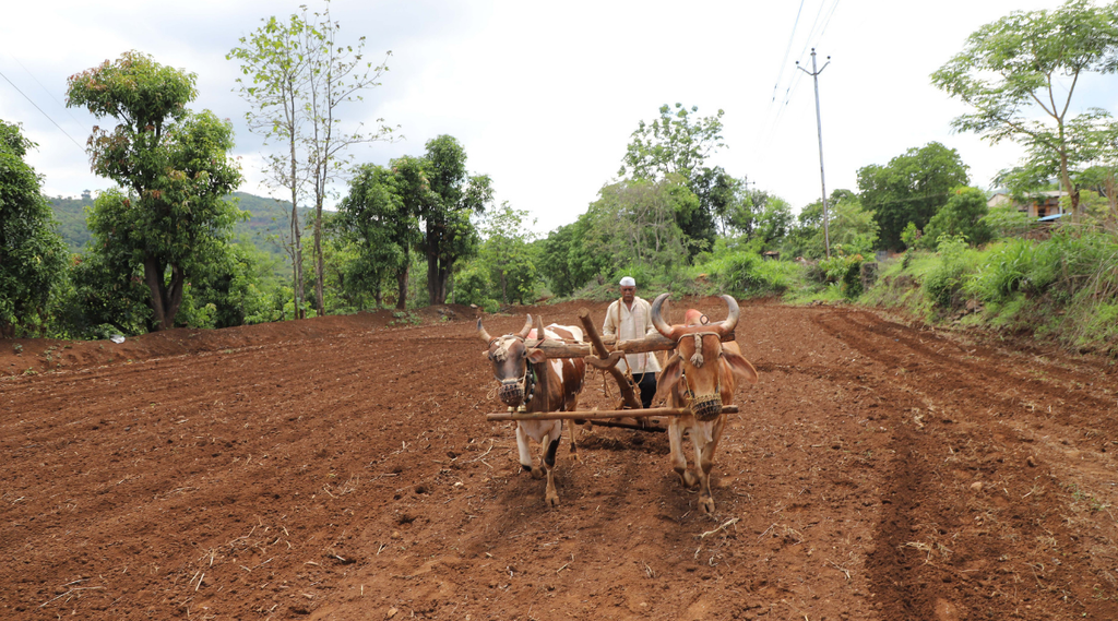 Farmer, State News, Utility News