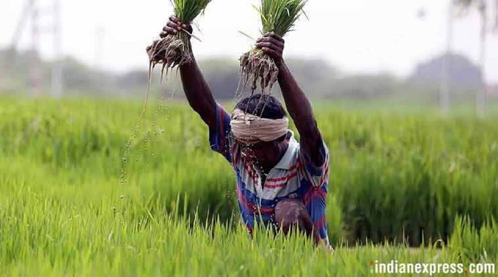 Farmers suicide