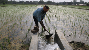 Farmers, PM Kisan, Utility News
