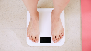 Fat, Utility News, National News