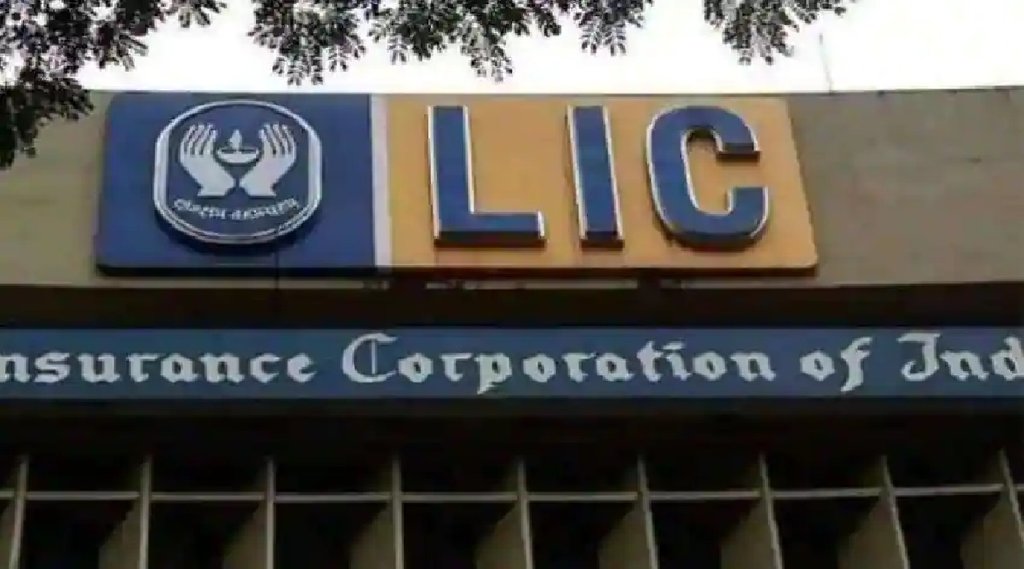 LIC के तहत लिए गए अपने लोन की ऐसे कर सकते हैं जांच, जानें पूरी प्रक्रिया (File Photo)