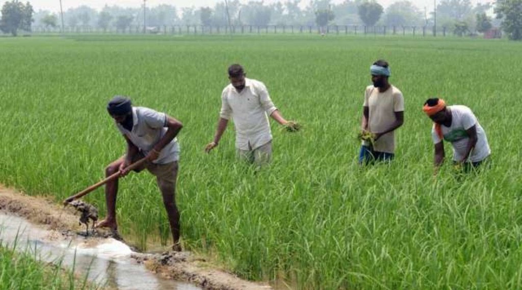 
PM Kisan योजना में अब राशन कार्ड के बिना नहीं आएंगे पैसे, जानिए क्‍या है नया नियम (File Photo)
