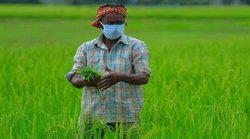 पीएम किसान के रजिस्‍ट्रेशन फॉर्म में कुछ भी करना है अपडेट, तो इस तरीके से फटाफट करें ये काम