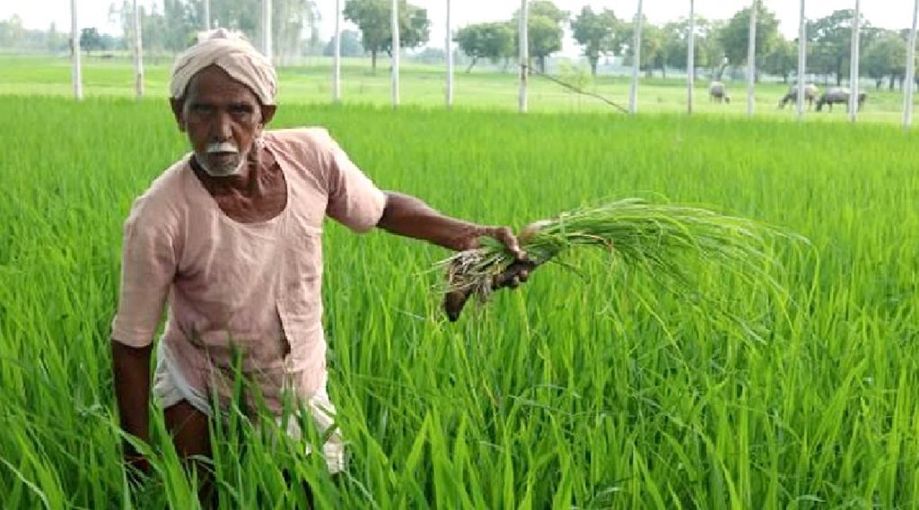 PM Kisan Yojana: अगर 31 अक्‍टूबर तक कर लिया यह काम तो खाते में आएंगे 4,000 रुपये (File Photo)