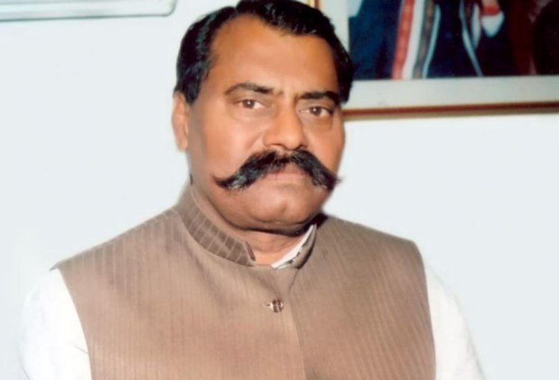 अपना दल के संस्थापक दिवंगत सोनेलाल पटेल के 4 बच्चे हैं। तीन बेटियां और एक बेटे। बेटे का नाम अमन पटेल है। बेटियों में अनुप्रिया पटेल ने पिता की राजनीतिक विरासत को आगे बढ़ाया।