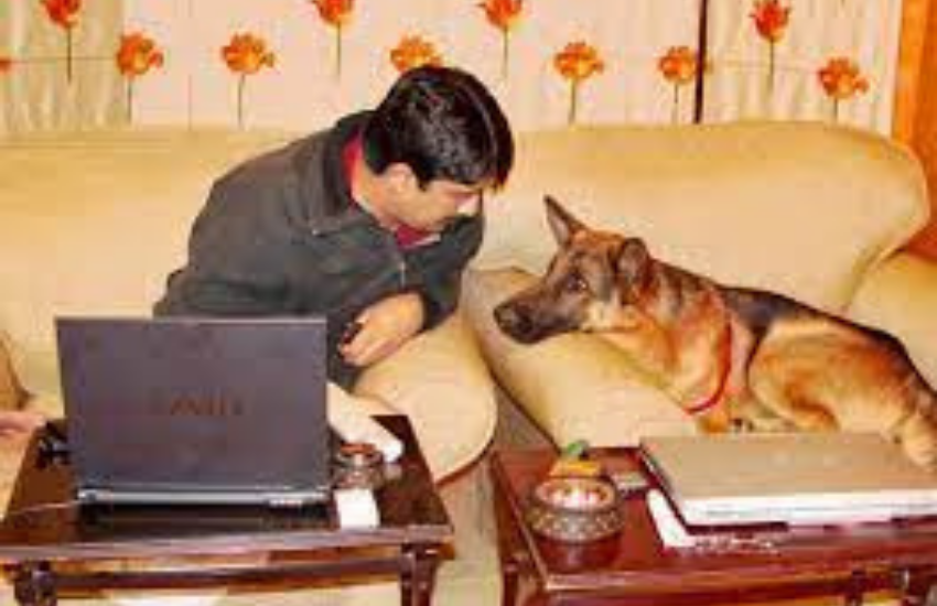 राजा भैया ने कहा कि जो भी अपराधी अपराध के जरिये जीवनयापन कर रहे हैं उन पर कंट्रोल किया जा सकता है, लेकिन खेती-बाड़ी या आपसी विवाद के अपराध दूसरी श्रेणी के होते हैं। इसे रोका नहीं जा सकता।
