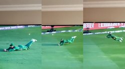 T20 World Cup: प्रीति जिंटा के बल्लेबाज ने लपका शानदार कैच, ऑस्ट्रेलिया के पूर्व कप्तान भी रह गए दंग; देखें Video