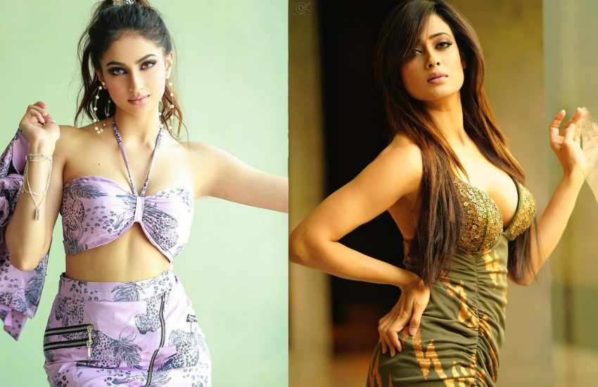 श्वेता अपनी बेटी पलक से 20 साल बड़ी हैं, लेकिन दोनों को देखकर किसी को यकीन नहीं होता है।