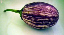 High Blood Sugar Level को कंट्रोल कर सकता है बैंगन, बस इस तरह करें सेवन