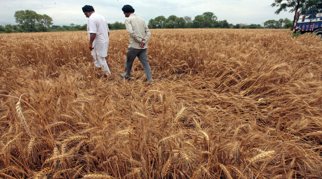 damaged crops, farmers, new delhi