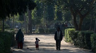 dda park, new delhi, utility news