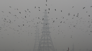 delhi smog, pollution in delhi, state news
